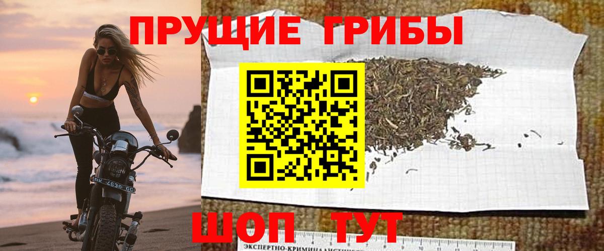 Липецк  Псилоцибиновые грибы прущие грибы  Вход с VPN 